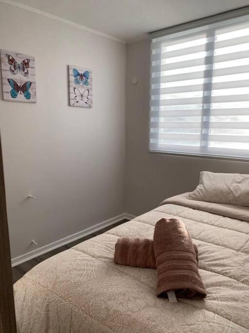 Departamento Centrico En Puerto Varas Ngoại thất bức ảnh